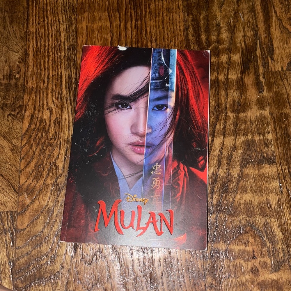 Mulan chapter book with some illustrations